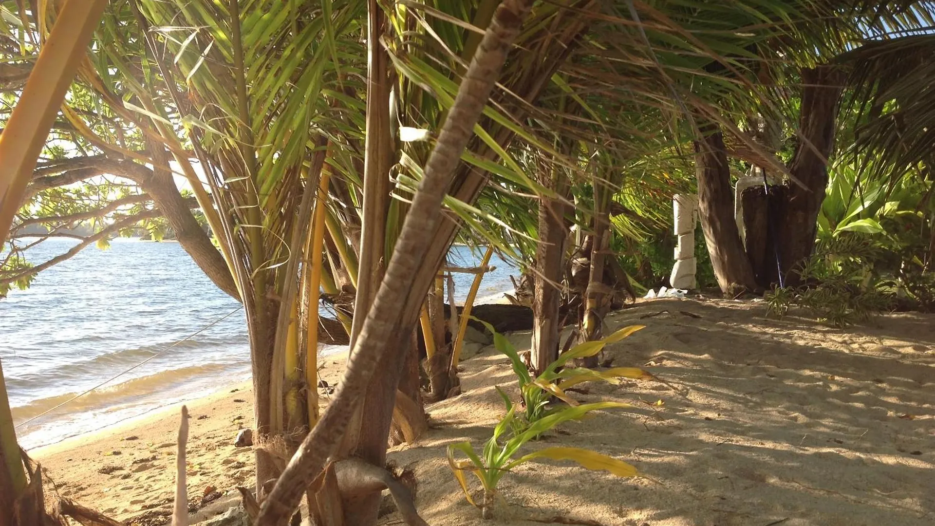 Les Pieds Dans L'Eau A Huahine. Maison Climatisee Parea بولينيزيا الفرنسية